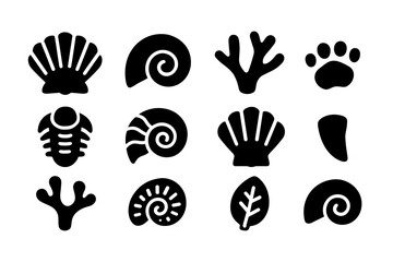 Fototapeta premium Silhouette icons of fossils and shells on white background