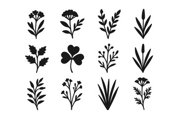 Minimalist botanical silhouettes: elegant black floral icon collection