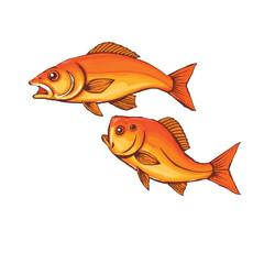 Two vibrant orange fish swimming in a playful dance against a white background