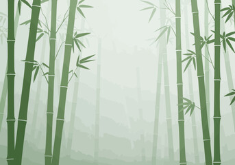 Bamboo forest with dense green stalks and wispy leaves against misty background