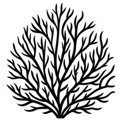 Fototapeta premium silhouette of a tree