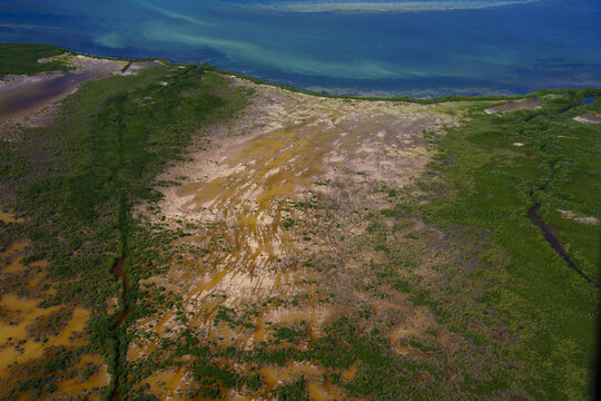 Aerial view of a coastal landscape where the turquoise sea meets the vibrant green mangroves and a sandy beach, creating a striking contrast in colors and textures, Merida, Yucatan, Mexico.