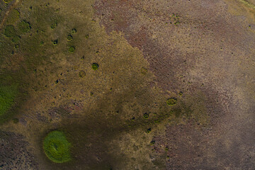 Aerial view of a landscape where green circles stand out against a backdrop of brown and beige, creating a textured mosaic from above, Merida, Yucatan, Mexico.