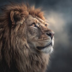 Naklejka premium Majestic Lion with Golden Eyes and Flowing Mane