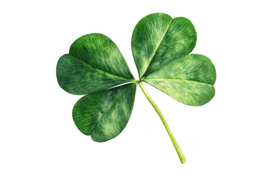 Vibrant green shamrock leaf with intricate veins isolated on a transparent background isolated on transparent background