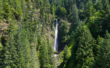 Majestic Waterfall Surrounded by Lush Green Forest in BC, Canada
