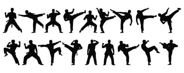 Martial Arts Silhouette Series – Dynamic Karate Action Poses.A vector collection of martial arts silhouettes for artwork compositions