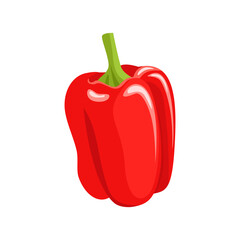 Red bell pepper isolated on white background. Vector cartoon flat illustration. Fresh vegetable icon.