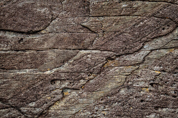 Close-Up of a Rough and Weathered Natural Rock Texture