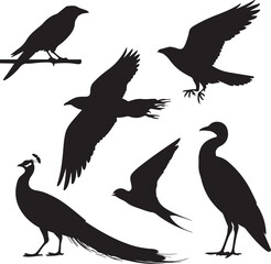 Obraz premium Black Bird Silhouettes Set - Flying, Perching, and Standing