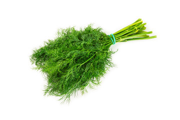 Dill isolated on white background. Fresh organic greens. Dill plantation. Dill leaves. Bunch of spring young dill. Vitamins. Fiber. Aromatic culinary spice.