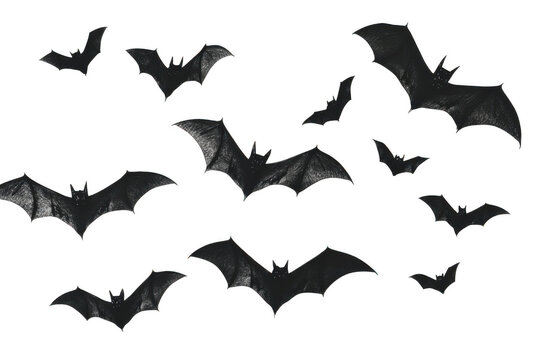 A flock of dark textured bats flying in formation isolated on transparent background