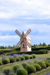 Historic Stone Windmill Surrounded by Lavender Fields in Rural Countryside