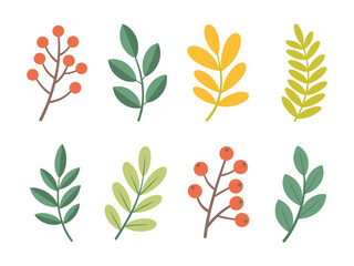 Obraz premium Different Autumn Branches with Leaves and Red Berries – Flat Colored Botanical Elements Perfect for Herbarium, Nature Art, and Fall Designs 