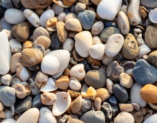 Seashells and Pebbles Beach Texture: A close-up shot reveals the diverse textures and colors of numerous seashells and pebbles, creating a captivating beach scene.