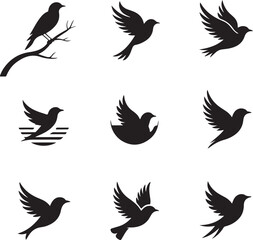 Obraz premium Silhouettes of birds in various poses and settings flying perched