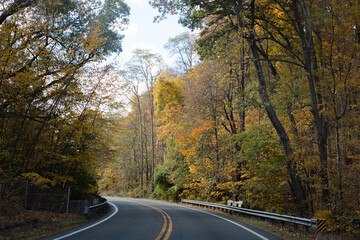 Fototapeta premium Serene winding road surrounded by vibrant autumn foliage during a clear day
