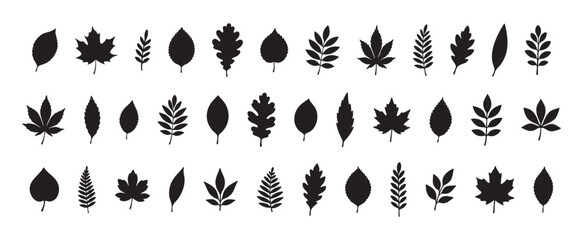 Collection of various leaf silhouettes in black, isolated on white background, graphic illustration. concept of nature, botanical elements, foliage, plant design, icon set