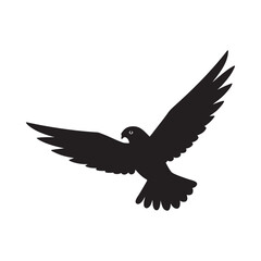 silhouette falcon flying high