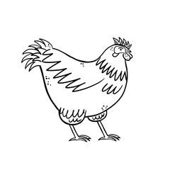 Сhicken animal in line art style. Hand drawn bird illustration. Simple design element