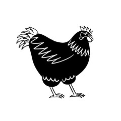 Black and white silhouette of a chicken. Farm animal image.