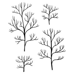 sketches of trees and bushes with twigs without leaves on a white background