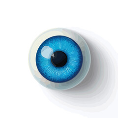eyeball isolated in White Background, eyeball vector, Flat lay vector illustration