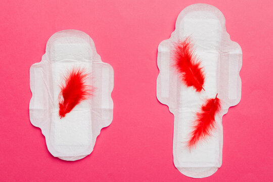 Women hygiene products or Sanitary pad with red feather on colored background. Pastel color. Closeup. Empty place for text. Female daily hygiene