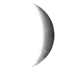 Solid Black Color on Transparent Background