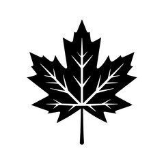 Obraz premium Black maple leaf silhouette on transparent background - perfect abstract logo design. Minimalist vector icon for nature branding, autumn themes, and Canadian symbolism. Clean outline in SVG/PNG.
