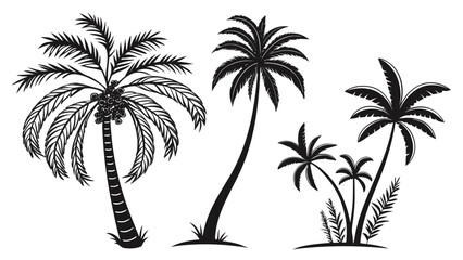 Naklejka premium Illustration of three palm trees with different shapes and sizes in black and white color scheme art
