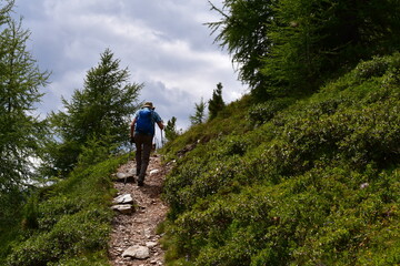 Mann wandert im Ultental in S&uuml;dtirol 
