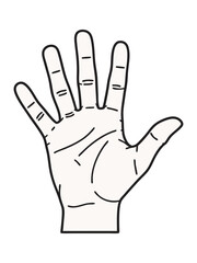 Outlined Human Hand with Palm Lines for Communication or Anatomy Concepts