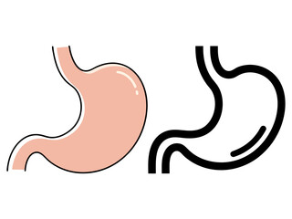 Human Stomach Anatomy Illustrations Flat Design and Outline Versions for Health