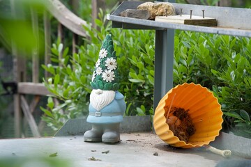 Gnome in the garden