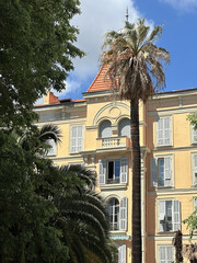 Historic building with yellow facade and large windows, surrounded by palm trees and lush greenery, showcasing architectural beauty and tropical ambiance