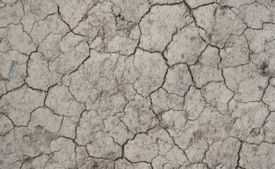 Drought-stricken soil displaying cracks and dryness in a rural landscape during midday under bright sunlight