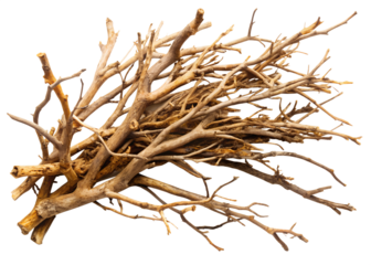 A cluster of dry, tangled tree branches and twigs is presented against a clean transparent background