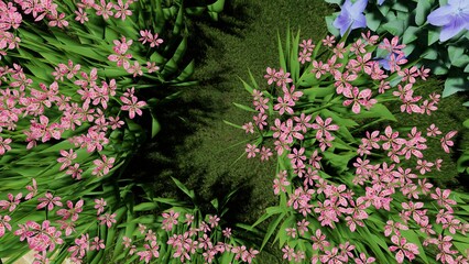 3d image of the landscape design of the home territory. Landscaping of the territory. Computer visualization of composite landscaping and landscaping solutions.