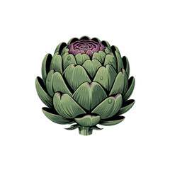 Fototapeta premium green artichoke