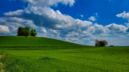 Obraz premium Amazing rural landscape. Green hill curving under a blue sky filled with clouds near by Meersburg in Germany.
