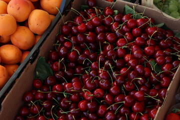 Various fruits for sale in a market in Croatia