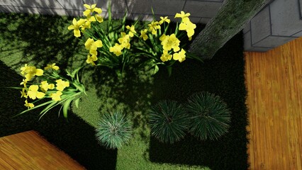 3d image of the landscape design of the home territory. Landscaping of the territory. Computer visualization of composite landscaping and landscaping solutions.