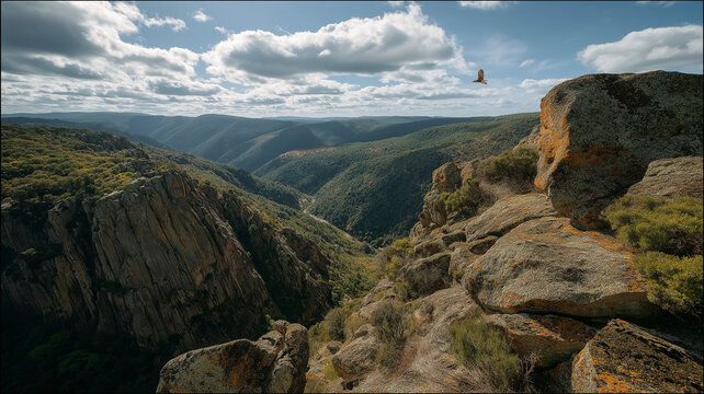 Weathered Cliff Edge with Mossy Boulders and Soaring Falcon Above Deep Canyon &ndash; beautiful image, nature view, real look