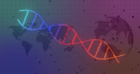 Particles converging left forming rotating digital DNA helix over world map grid for genetic flow - Powered by Adobe