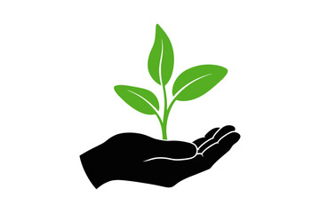Hand holding plant sprout growth and environment