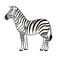 ah the majestic zebra nature monochrome marvel