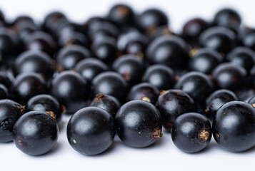 black currant berries