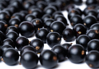 black currant berries