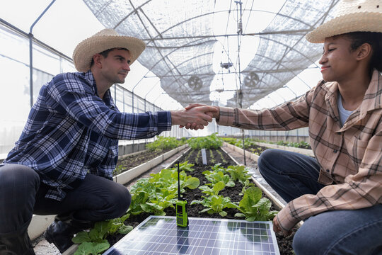 Farmer man inspecting a solar panel device for greenhouse for cultivation of vegetable food. Woman farmer and worker talking to choose high efficiency photovoltaic panel for renewable energy.